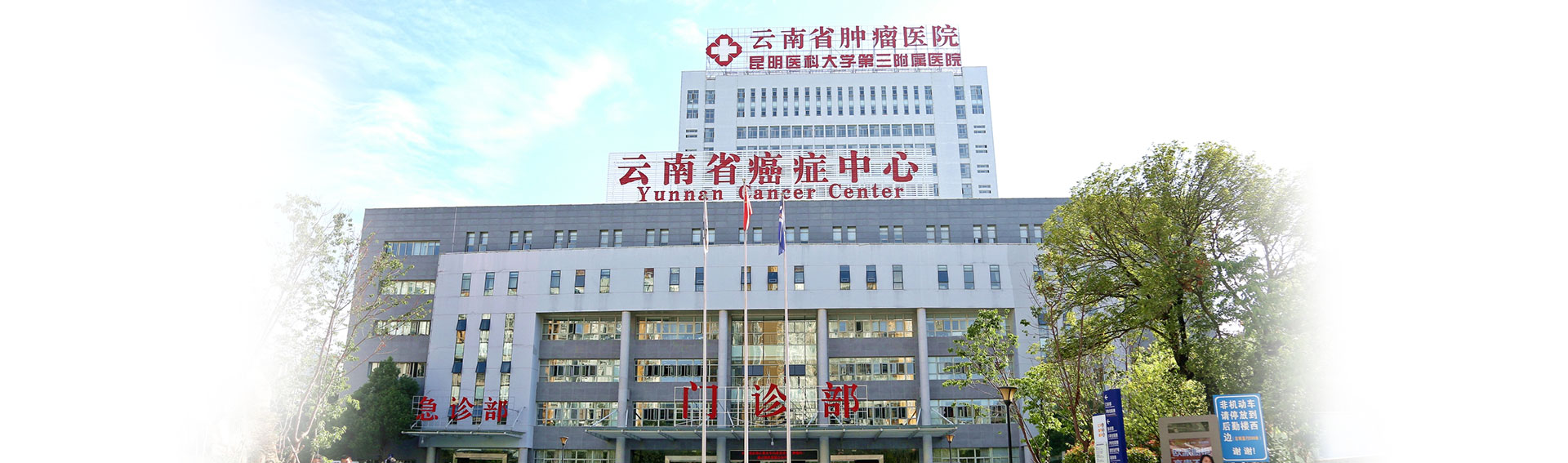 欢迎访问云南省肿瘤医院官方网站